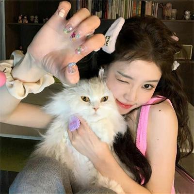 东陵大盗（三）